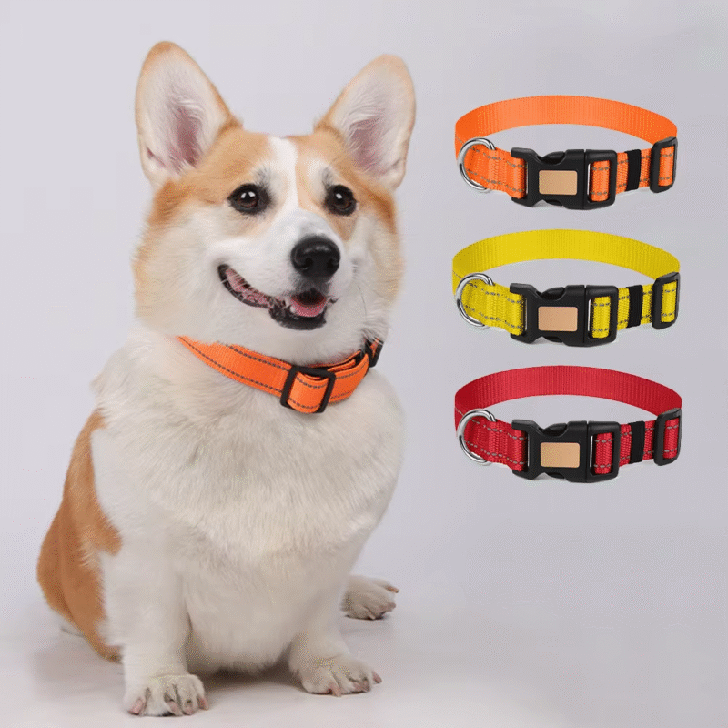 Pet collar leash - Image 6