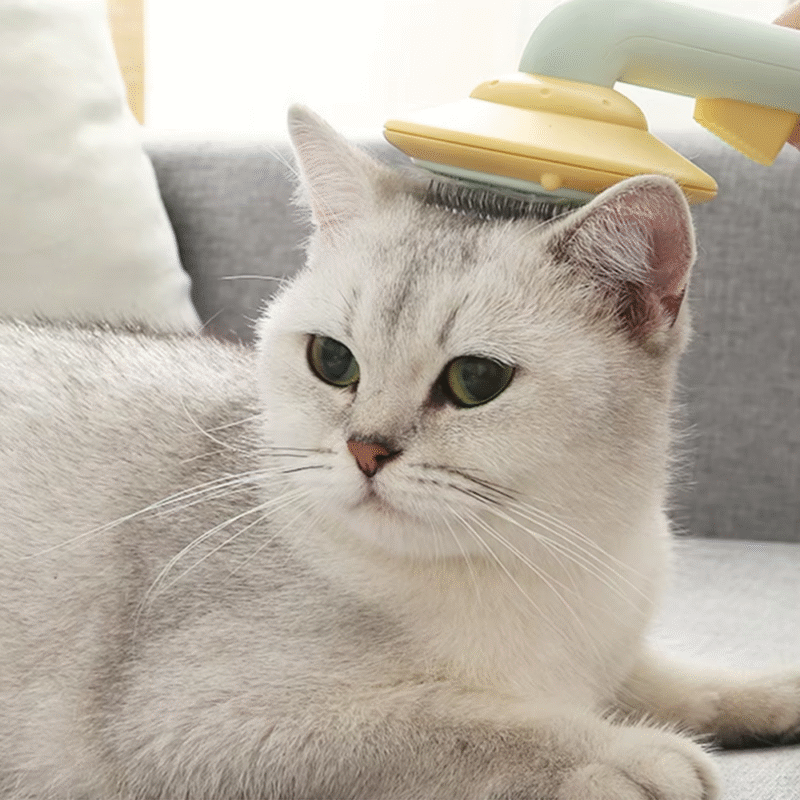 Pet grooming products - Image 9