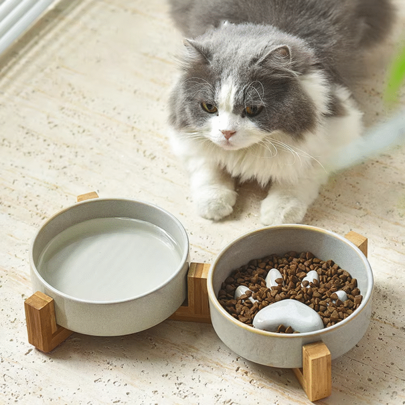 Pet feeding tools - Image 15