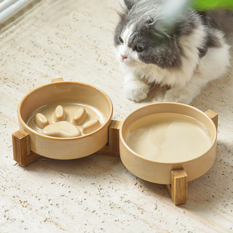 Pet feeding tools - Image 14